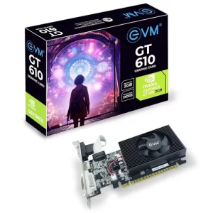 EVM GT610 Graphics